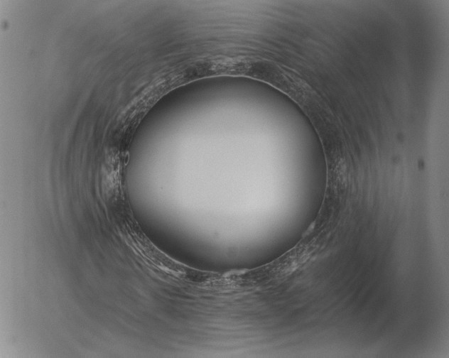 X0000056030914200509021818