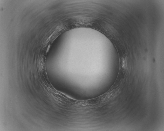 X0000056030915200509021818