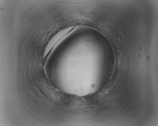 X0000056030916200509021818