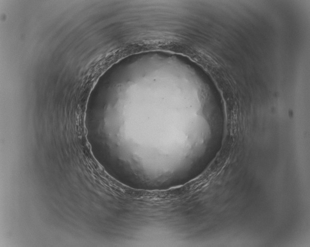 X0000056030917200509021818