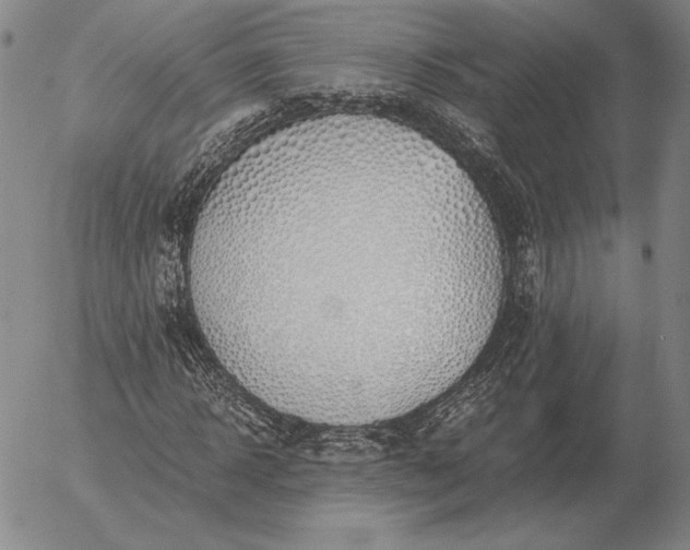 X0000056030918200509021818