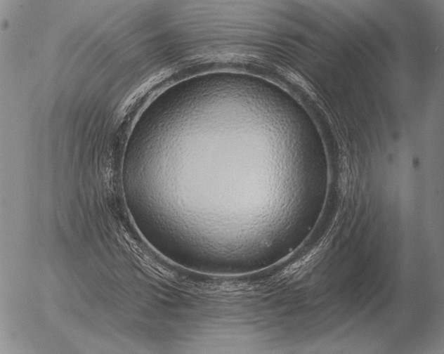 X0000056030922200509021818