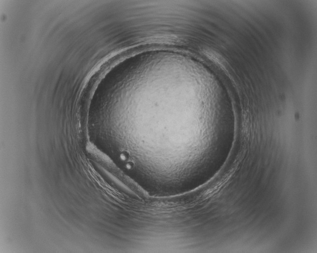 X0000056030923200509021818