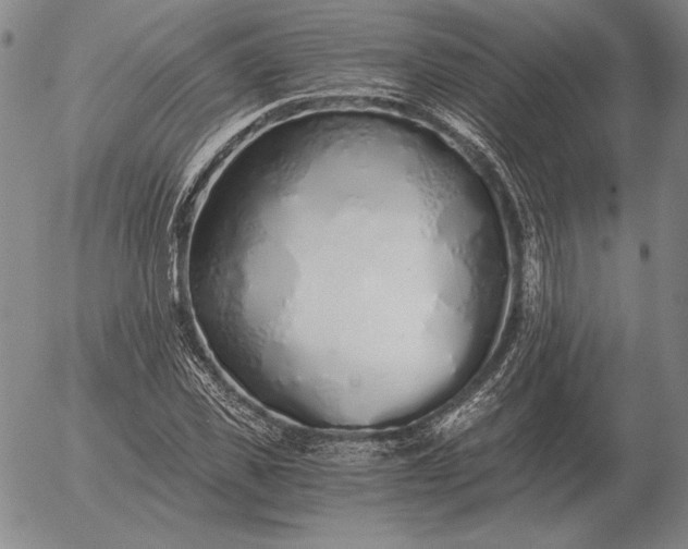 X0000056030925200509021818