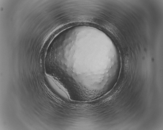 X0000056030926200509021818