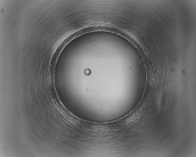 X0000056030927200509021818