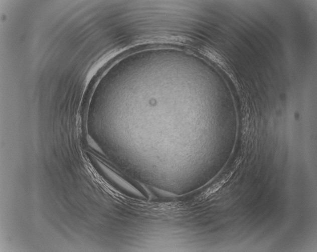 X0000056030928200509021818