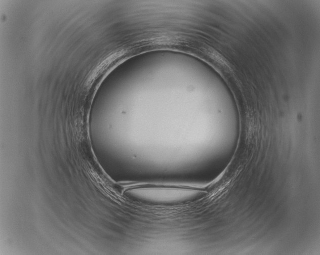 X0000056030930200509021818