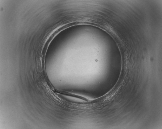 X0000056030932200509021818