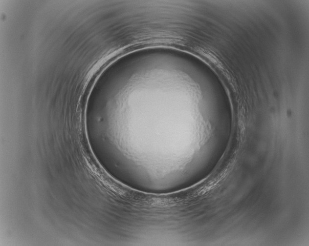 X0000056030933200509021818