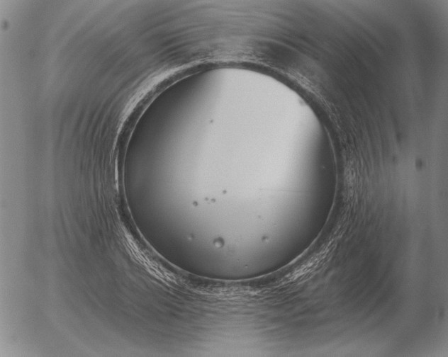 X0000056030934200509021818