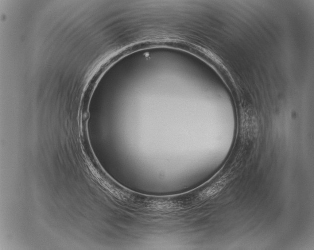 X0000056030935200509021818