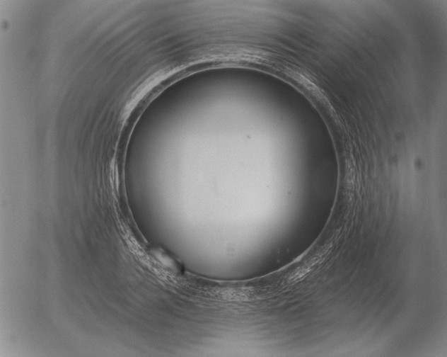 X0000056030936200509021818