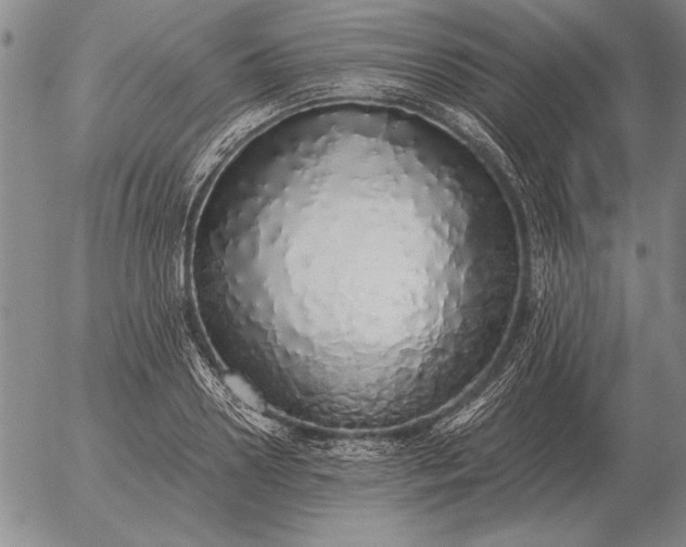 X0000056030938200509021818