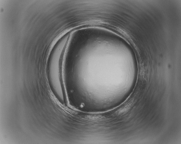 X0000056030939200509021818