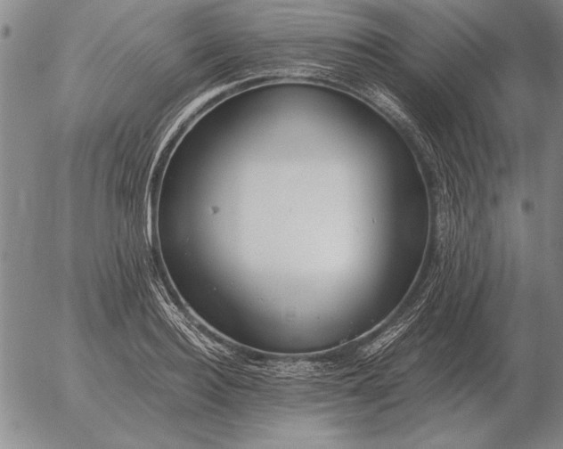 X0000056030940200509021818