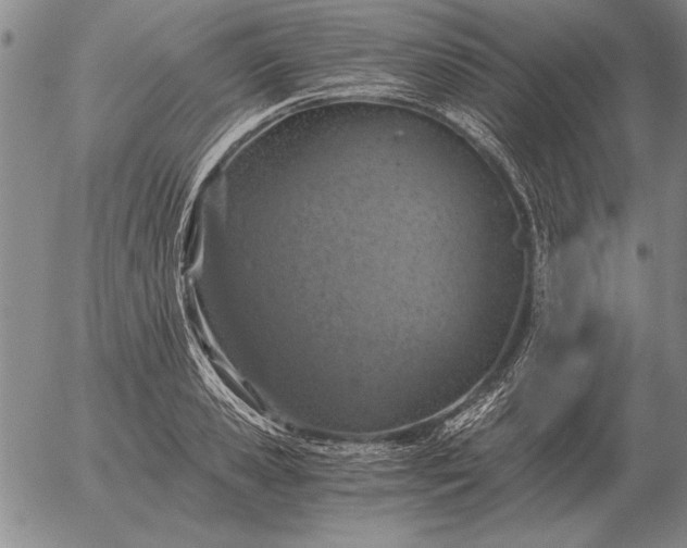 X0000056030941200509021818