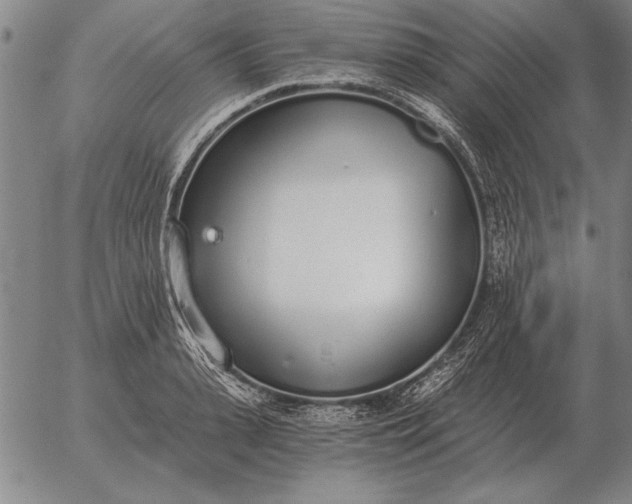 X0000056030943200509021818