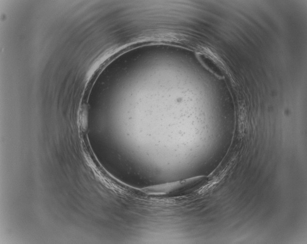 X0000056030944200509021818