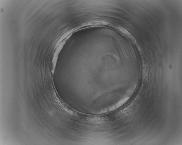 X0000056030945200509021818