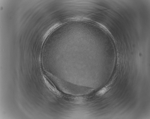 X0000056030946200509021818