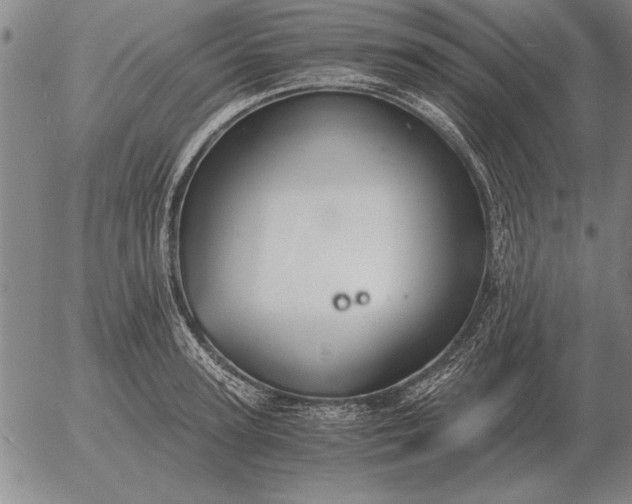 X0000056030947200509021818