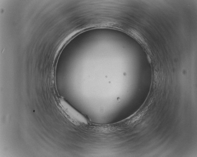 X0000056030948200509021818