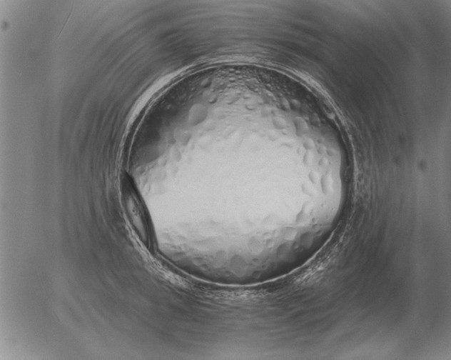 X0000056030949200509021818