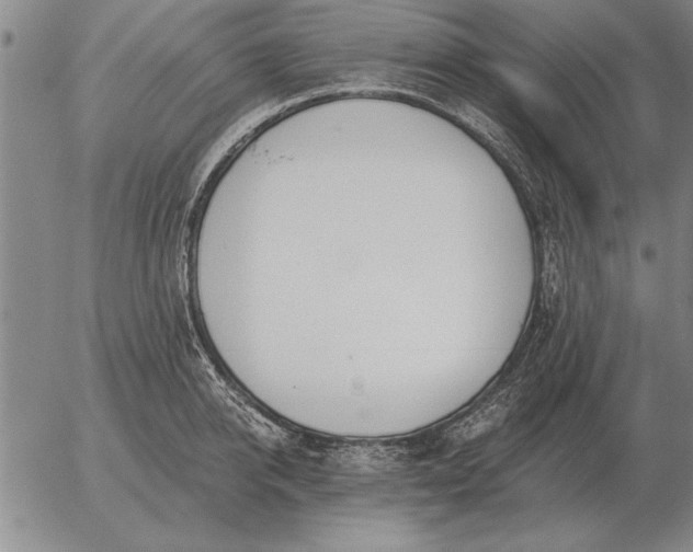 X0000056030950200509021818