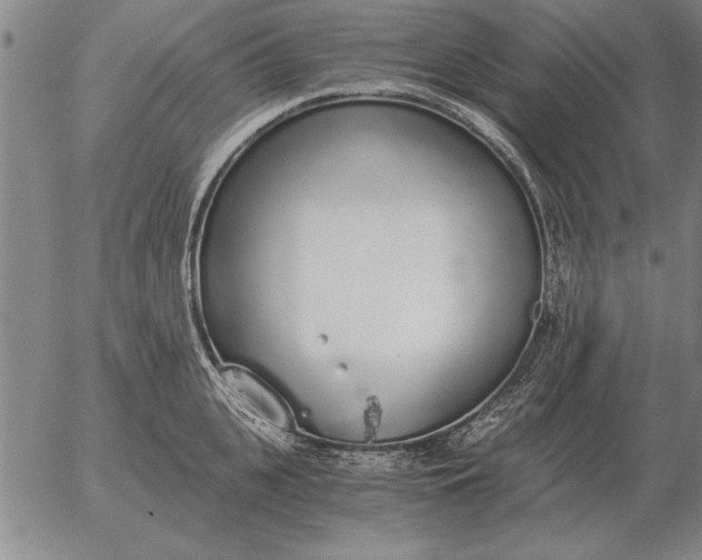 X0000056030951200509021818