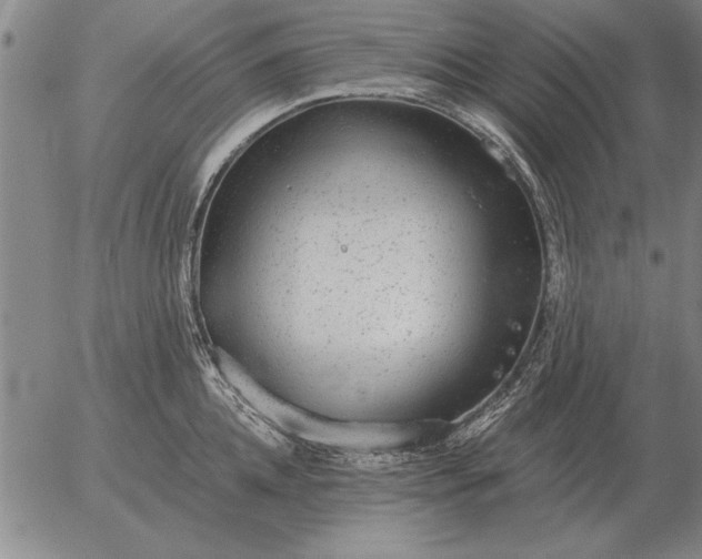 X0000056030952200509021818