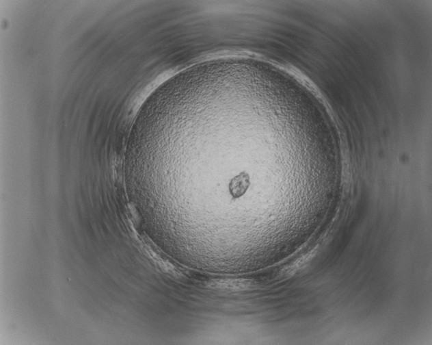 X0000056030953200509021818