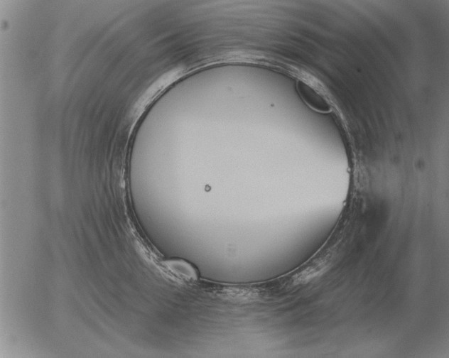 X0000056030954200509021818