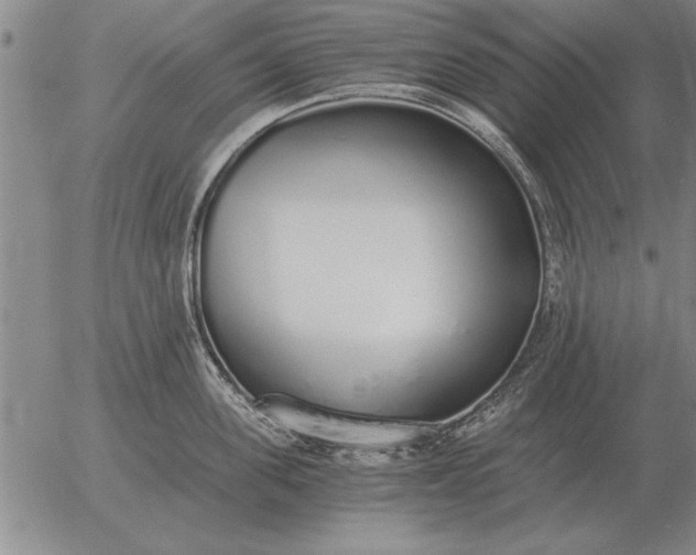 X0000056030955200509021818