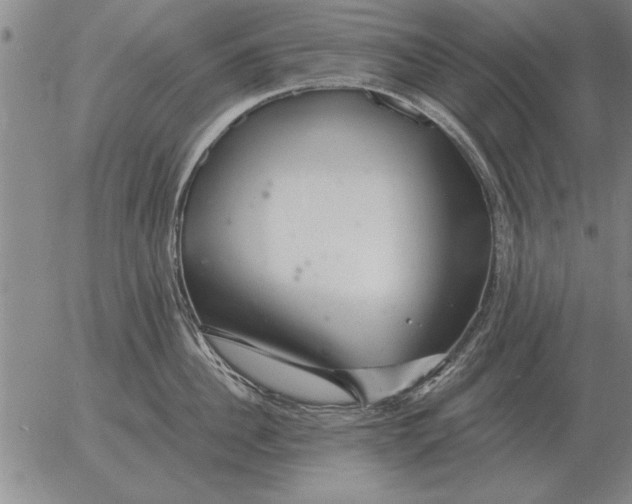 X0000056030956200509021818