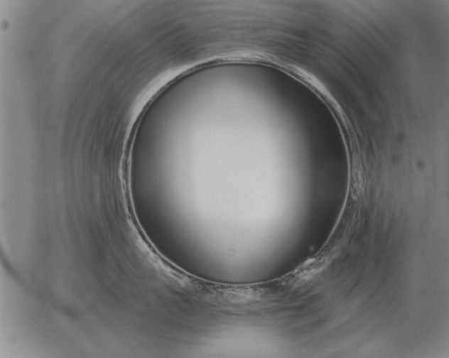 X0000056030959200509021818