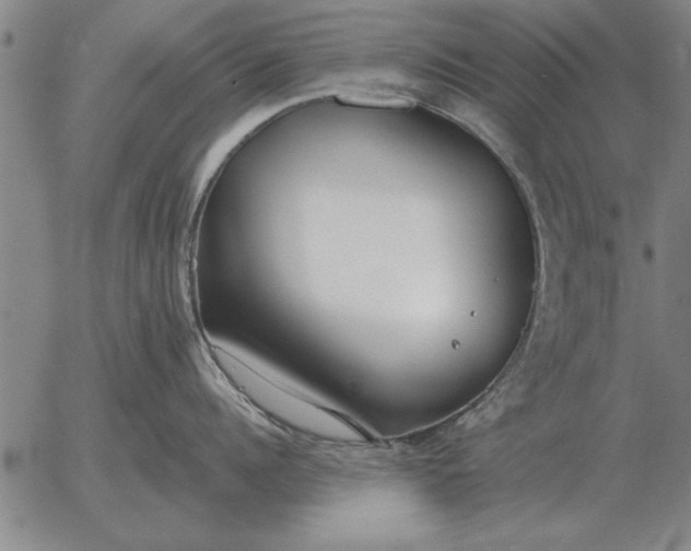 X0000056030960200509021818