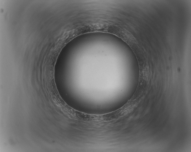 X0000056030961200509021817