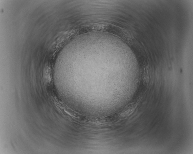 X0000056030962200509021817