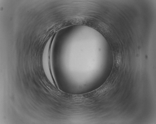 X0000056030964200509021817