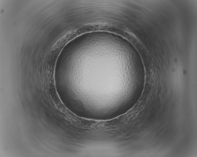 X0000056030967200509021817