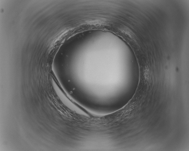 X0000056030968200509021817