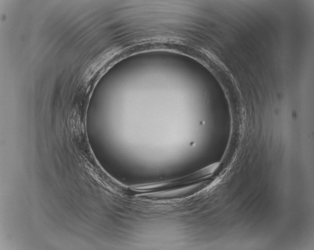 X0000056030969200509021817