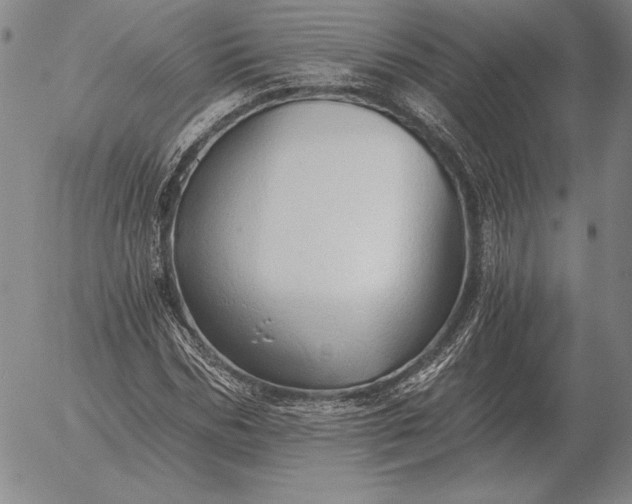 X0000056030970200509021817