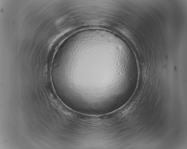 X0000056030971200509021817