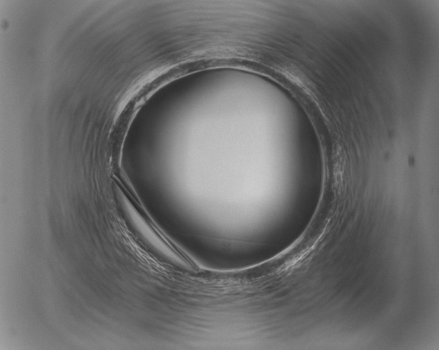 X0000056030973200509021817