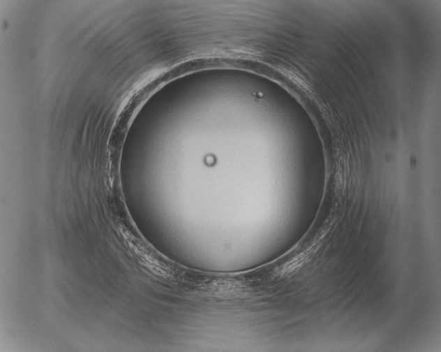 X0000056030974200509021817