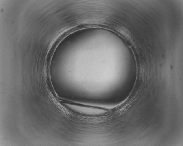 X0000056030976200509021817