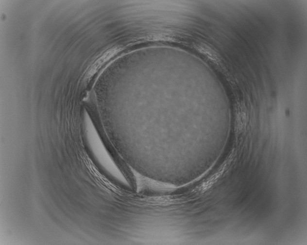 X0000056030977200509021817