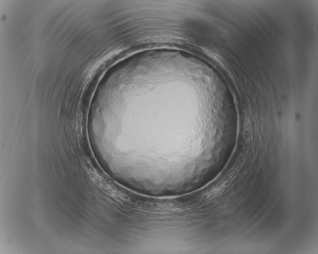 X0000056030979200509021817